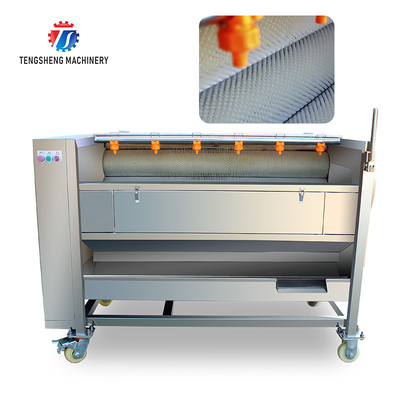 Factory direct with standard multi-functional fruit washing machine medium-sized lotus root washing radish machine