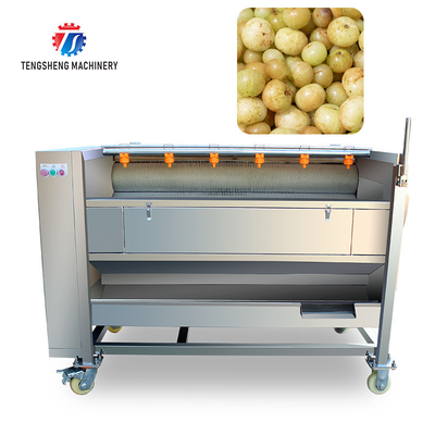 Brush roller peeling cleaning machine horseshoe cleaning machine potato cleaning peeling machine