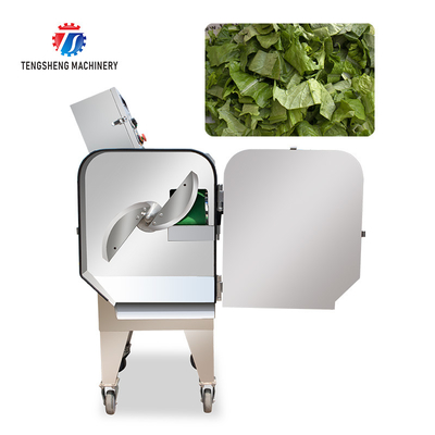 1200KG/H Vegetable Processing Machine Agricultural Automatic Fruit Cutter