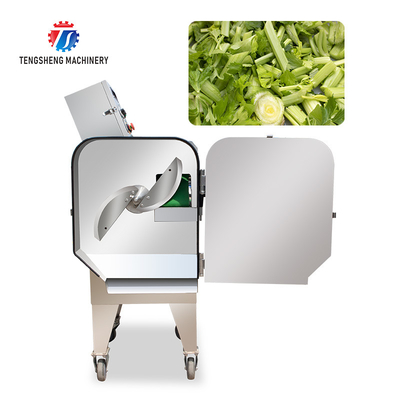 1200KG/H Vegetable Processing Machine Agricultural Automatic Fruit Cutter