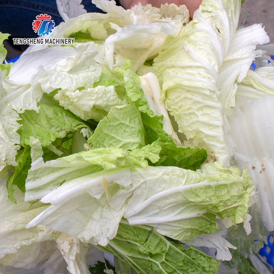 Automatic Fruit And Vegetable Dehydrator Vegetable Cabbage Okra Dehydration Dryer