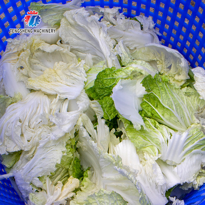2KW  Leaf Vegetable Processing Machine Fruit Dehydrator Machine