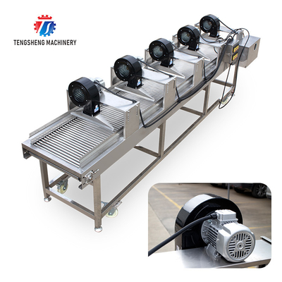 350KG 380V Vegetable drain air drying machine complete set of equipment for fruit and vegetable air drying parallel air