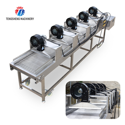 350KG 380V Vegetable air drying line fruit parallel air drying machine packaging air drying
