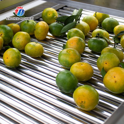 350KG 380V Vegetable air drying line fruit parallel air drying machine packaging air drying