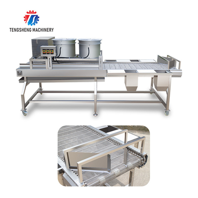 2KW 300KG Manual selection sorting table stainless steel air - drying selection machine is efficient