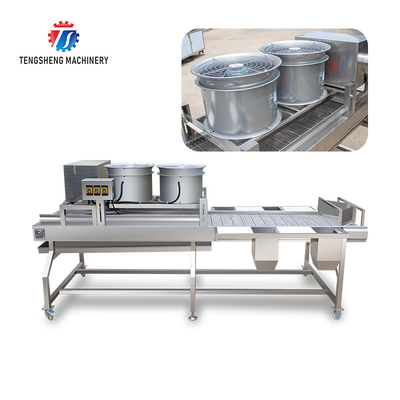 2KW Vegetable Processing Machine Stainless Steel Fruit Drying Selection Machine