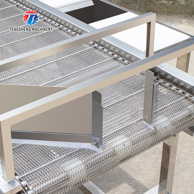 2KW Vegetable Processing Machine Stainless Steel Fruit Drying Selection Machine