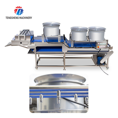 380V Stainless Steel Mesh Belt Air Drying Machine for Fruit And Vegetable