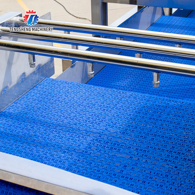 380V Stainless Steel Mesh Belt Air Drying Machine for Fruit And Vegetable