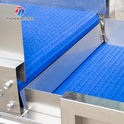 380V Stainless Steel Mesh Belt Air Drying Machine for Fruit And Vegetable