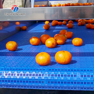 Stainless Steel Ladder Air Drying Machine Automatic Continuous Air Drying Drainer