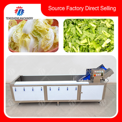 Commercial Fruit And Vegetable Washing Machine High Pressure Water Flow