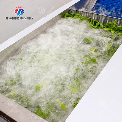 380V 240KG Diffusion Injection Fruit And Vegetable Washing Machine Easy To Operate