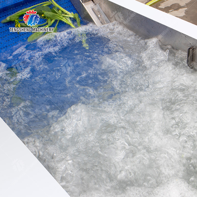 380V 240KG Diffusion Injection Fruit And Vegetable Washing Machine Easy To Operate