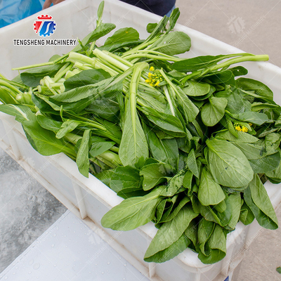 Single tank vegetable washing machine Fruit Orange Vegetable Leaves Vegetables sward beans  soybeans  green beans  Onions Herbs Wash Washer Washing Cleaning processing production