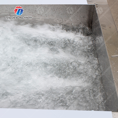 Single tank vegetable washing machine Fruit Orange Vegetable Leaves Vegetables sward beans  soybeans  green beans  Onions Herbs Wash Washer Washing Cleaning processing production