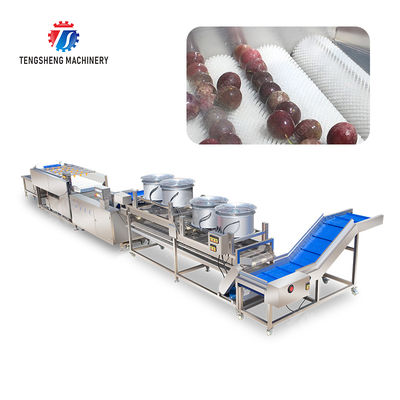 Fruit and vegetable brush bubblecleaning and drying production line