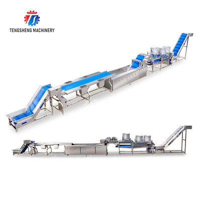 Fruit and vegetable selection  washing and drying production line