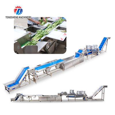 Fruit and vegetable selection  washing and drying production line