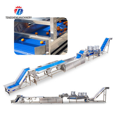 Fruit and vegetable selection  washing and drying production line