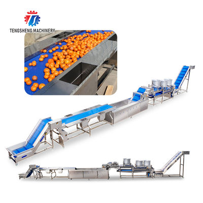 Fruit and vegetable selection  washing and drying production line