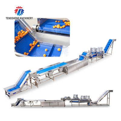 Fruit and vegetable selection  washing and drying production line