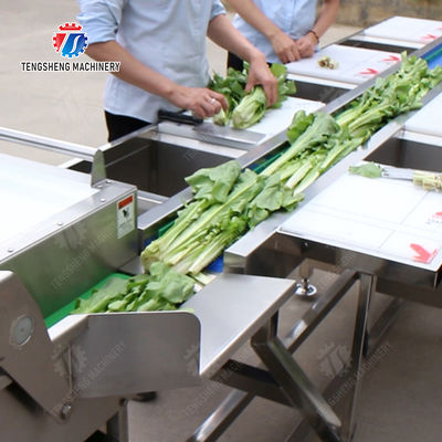 Fruit and vegetable selection  washing and drying production line