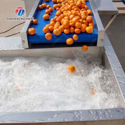 Fruit and vegetable selection  washing and drying production line