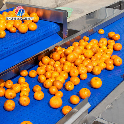 Fruit and vegetable selection  washing and drying production line