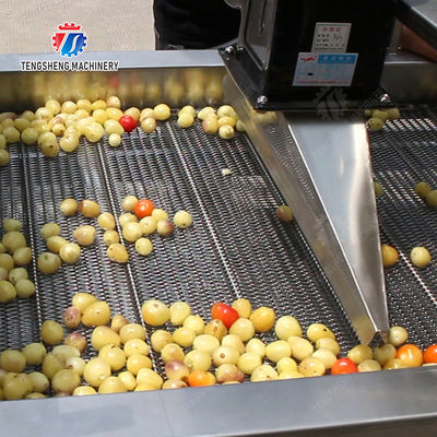 Large-scale fruit and vegetable washing,drying and cutting production line