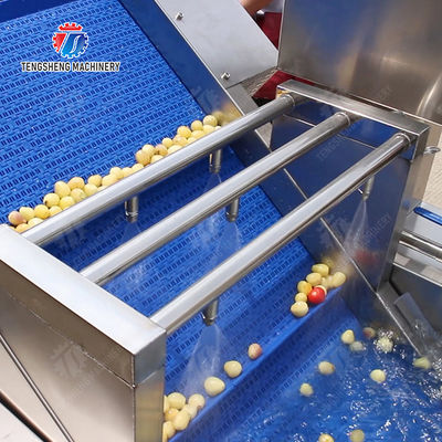 Large-scale fruit and vegetable washing,drying and cutting production line