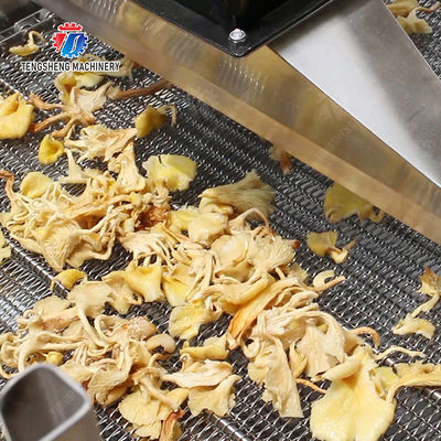 Large-scale fruit and vegetable washing,drying and cutting production line