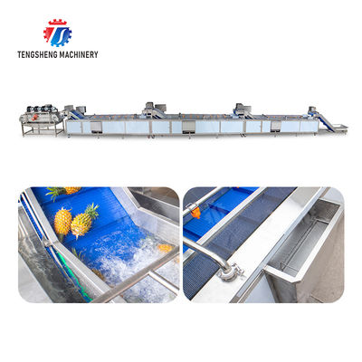 TS-X200 Bubble Vegetable Washing Machine and Silver Fruit And Vegetable Processing Line for Vacuum-packed Potato Strips