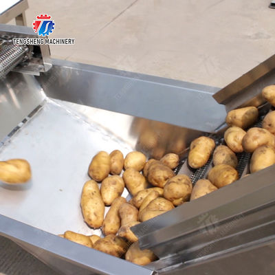 Year 2025 Silver Fruit And Vegetable Packaging Machine with Advanced Technology