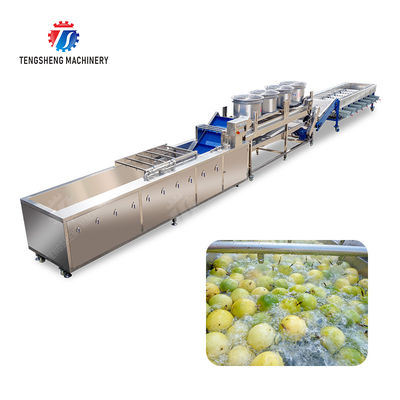 2025 Silver Fruit And Vegetable Processing Line for Processing