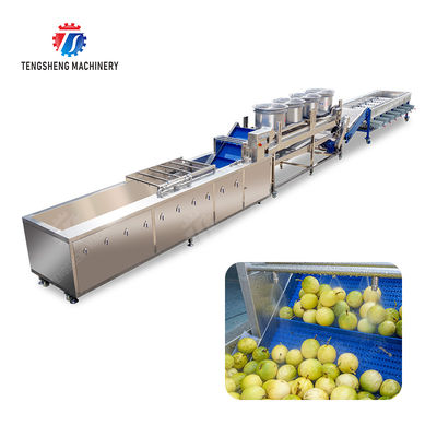 2025 Silver Fruit And Vegetable Processing Line for Processing