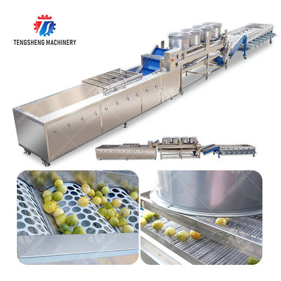 2025 Silver Fruit And Vegetable Processing Line for Processing