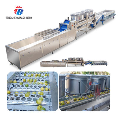 2025 Silver Fruit And Vegetable Processing Line for Processing
