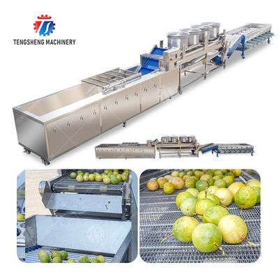 2025 Silver Fruit And Vegetable Processing Line for Processing