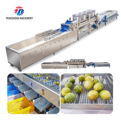 2025 Silver Fruit And Vegetable Processing Line for Processing