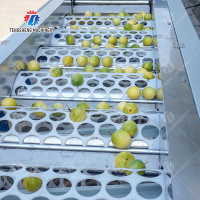 2025 Silver Fruit And Vegetable Processing Line for Processing