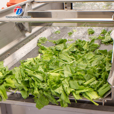 Silver Fruit And Vegetable Peeler Machine Model and Durable
