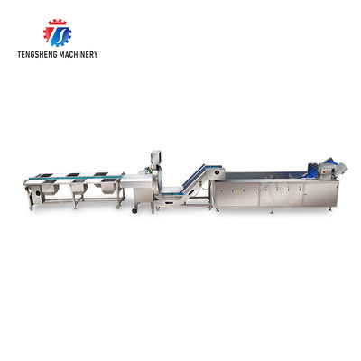Fruit And Vegetable Processing Line with TS-M100 Parallel Brush Machine and Vacuum-packed Potato Strips