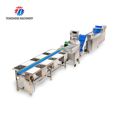 Fruit And Vegetable Processing Line with TS-M100 Parallel Brush Machine and Vacuum-packed Potato Strips