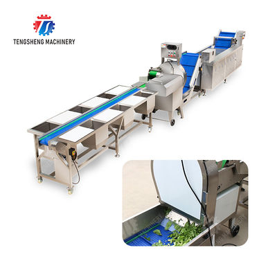 Fruit And Vegetable Processing Line with TS-M100 Parallel Brush Machine and Vacuum-packed Potato Strips