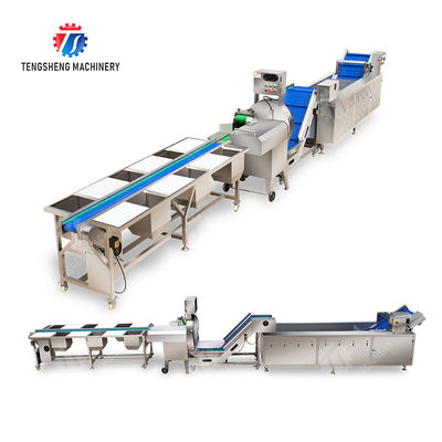 Fruit And Vegetable Processing Line with TS-M100 Parallel Brush Machine and Vacuum-packed Potato Strips