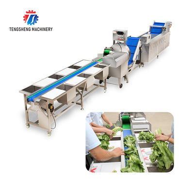 Fruit And Vegetable Processing Line with TS-M100 Parallel Brush Machine and Vacuum-packed Potato Strips