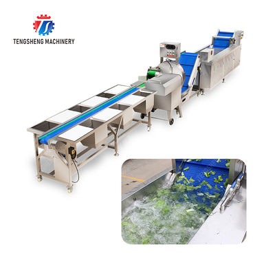 Fruit And Vegetable Processing Line with TS-M100 Parallel Brush Machine and Vacuum-packed Potato Strips