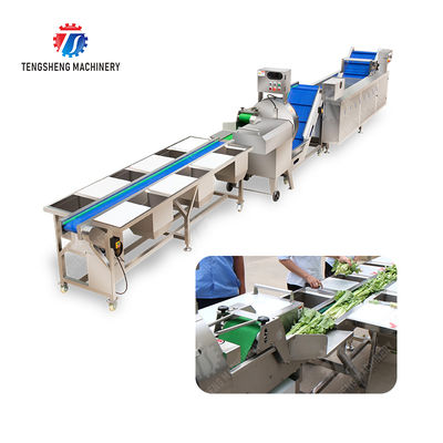 Fruit And Vegetable Processing Line with TS-M100 Parallel Brush Machine and Vacuum-packed Potato Strips